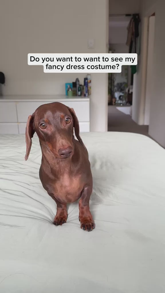 Hot Dog Halloween Costume for Dogs — Funny Sausage Cosplay Outfit for Small & Medium Dogs
