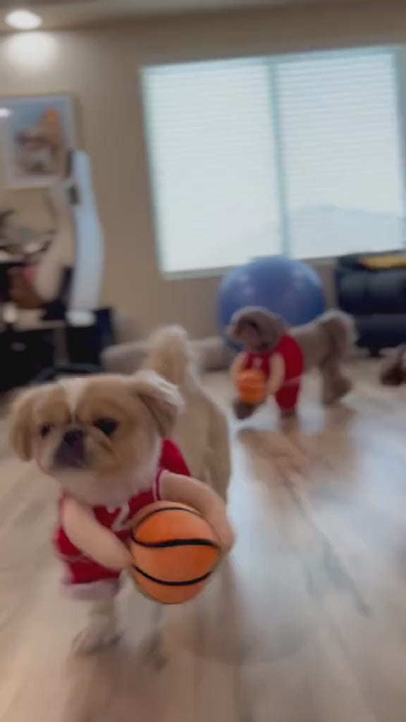 Dog Basketball Costume with Ball — Halloween Pet Outfit for Small Dogs